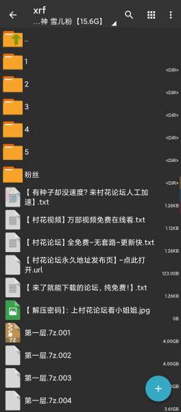 补链】【自行打包】厕所战神，雪儿粉大合集 【百度网盘 图10