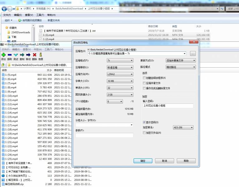 【自行打包】个人精选收藏主播高颜值好身材合集[百度网盘30天][25v/8.97GB]