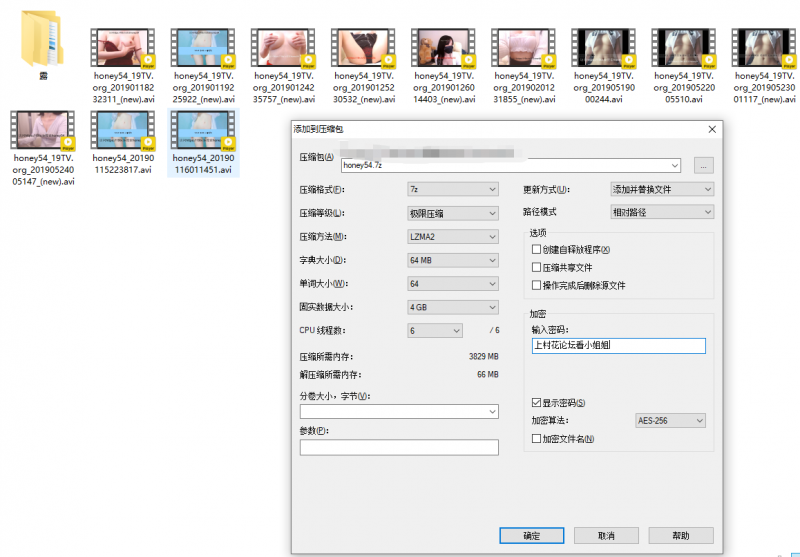 【自行打包】Korean BJ韩国女主播[honey54]露点走私视频【22V/10.84G】【百度云】