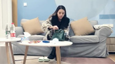 ♋♋新人登场! 小妖精 这么尤物的无毛软妹子~炮击白浆 图 35